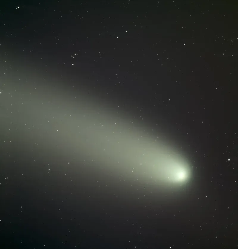 astronomia nebulosa astrofotografia astrophotography cometa comet panstar