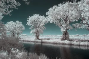 infrarosso infrared deep infrared strada albero paesaggio natura 720nm
