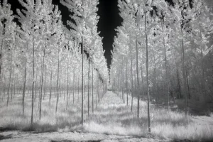 infrarosso infrared deep infrared fiume lago paesaggio natura 950nm