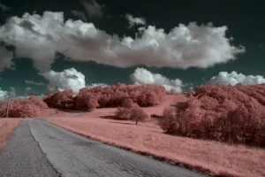 infrarosso infrared deep infrared strada albero paesaggio natura 550nm